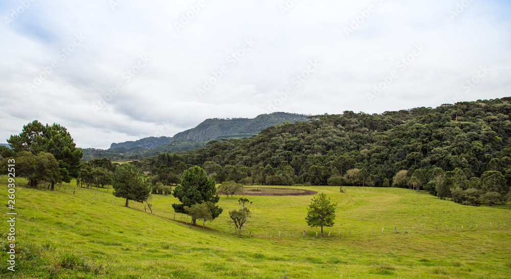 Fototapeta premium Paisagem com pasto e colina
