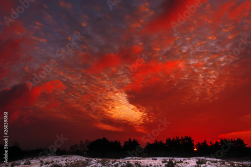 Fiery orange colorful sunset sky.  winter forest at sunset.