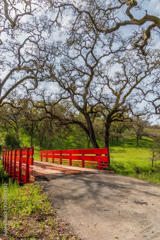 A new red bridge on a narrow road is built over a creek. A road leads up to the bridge. Bare trees, a pasture and a building under construction is in the distance. A cloudy sky is above. Horizontal A new red bridge on a narrow road is built over a creek. A road leads up to the bridge. Bare trees, a pasture and a building under construction is in the distance. A cloudy sky is above. Horizontal