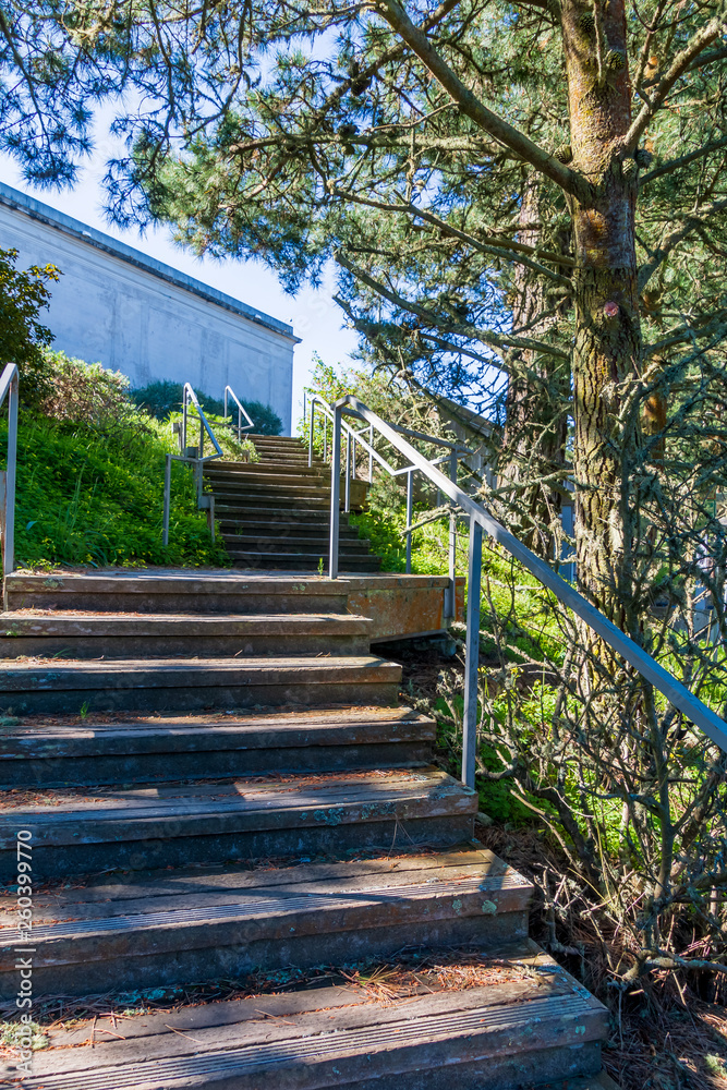 Concrete stairs leading up to a large building. Trees are on the right side of the stairs, Weeds and grass are growing around the stairs. Blue sky is above the building and seen through the trees.