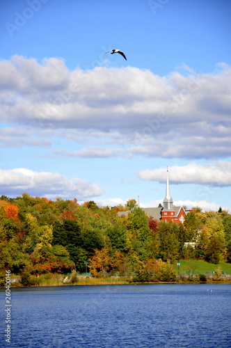 Colorful autumn landscape