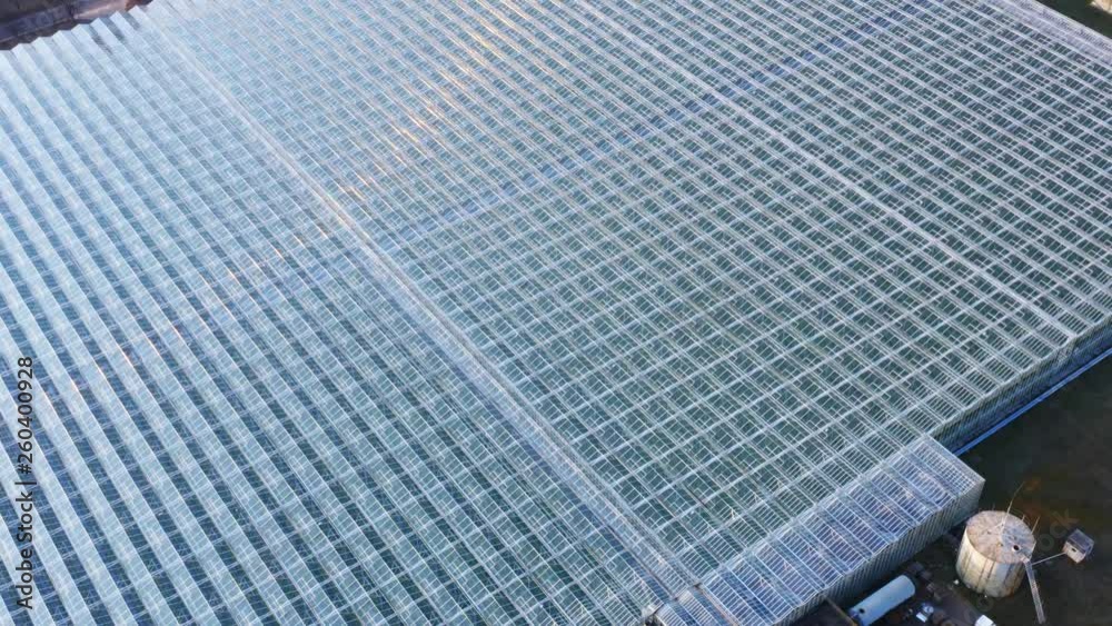 Aerial view of the big modern industrial greenhouse (hothouse) for growing fruits, berries, vegetables
