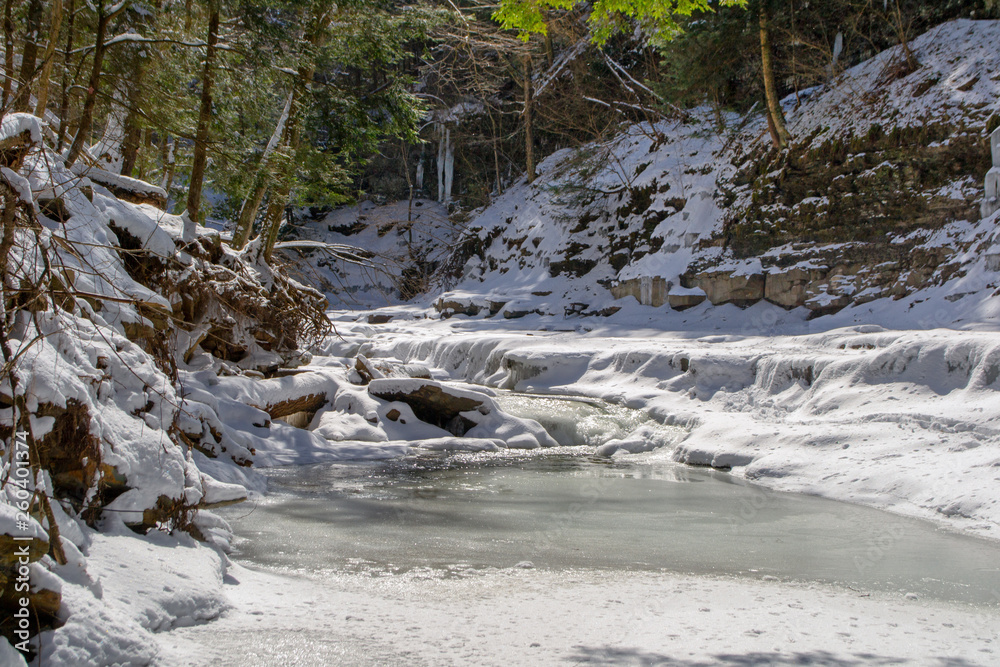 Obraz premium Salt Springs in Winter