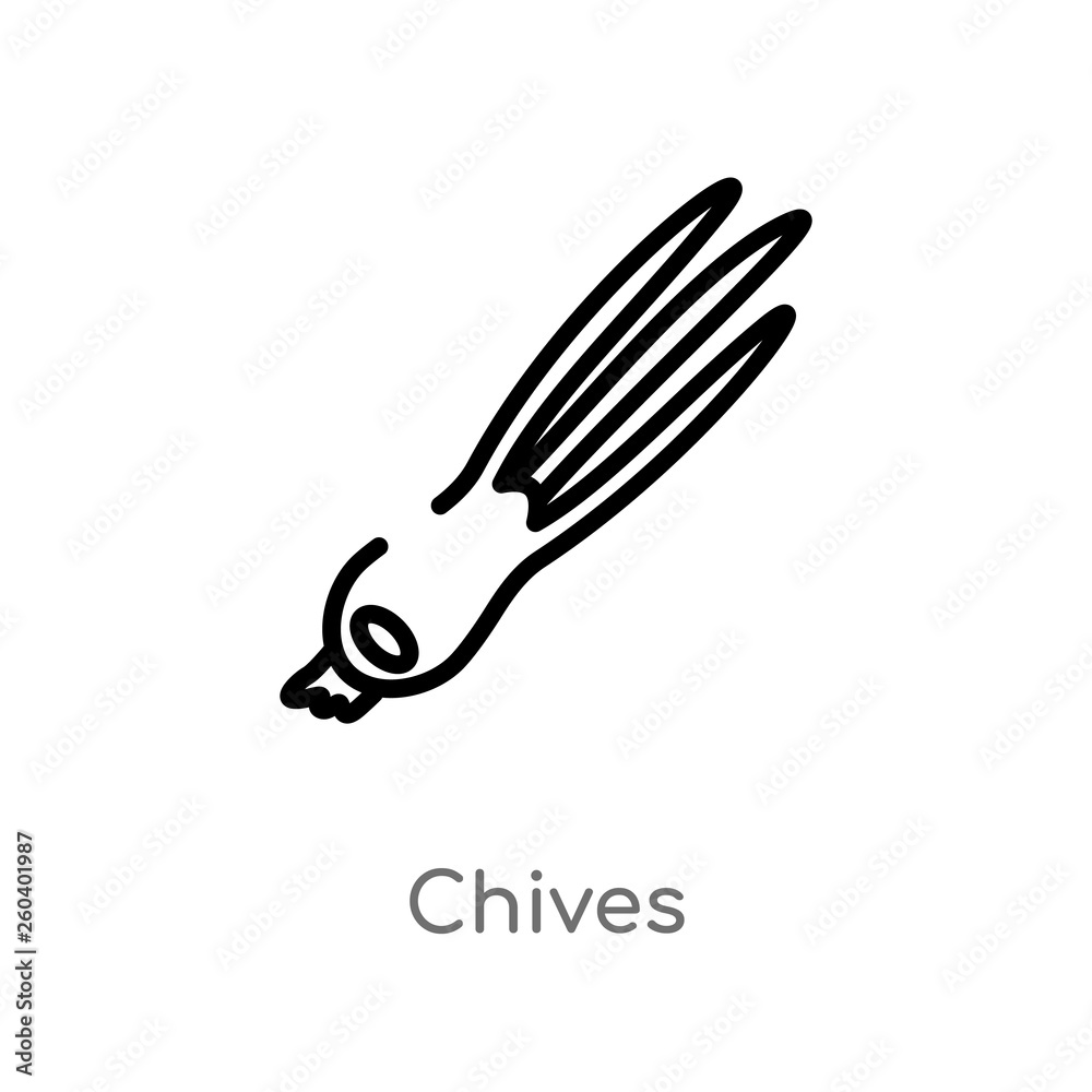 outline chives vector icon. isolated black simple line element illustration from food concept. editable vector stroke chives icon on white background outline chives vector icon. isolated black simple line element illustration from food concept. editable vector stroke chives icon on white background