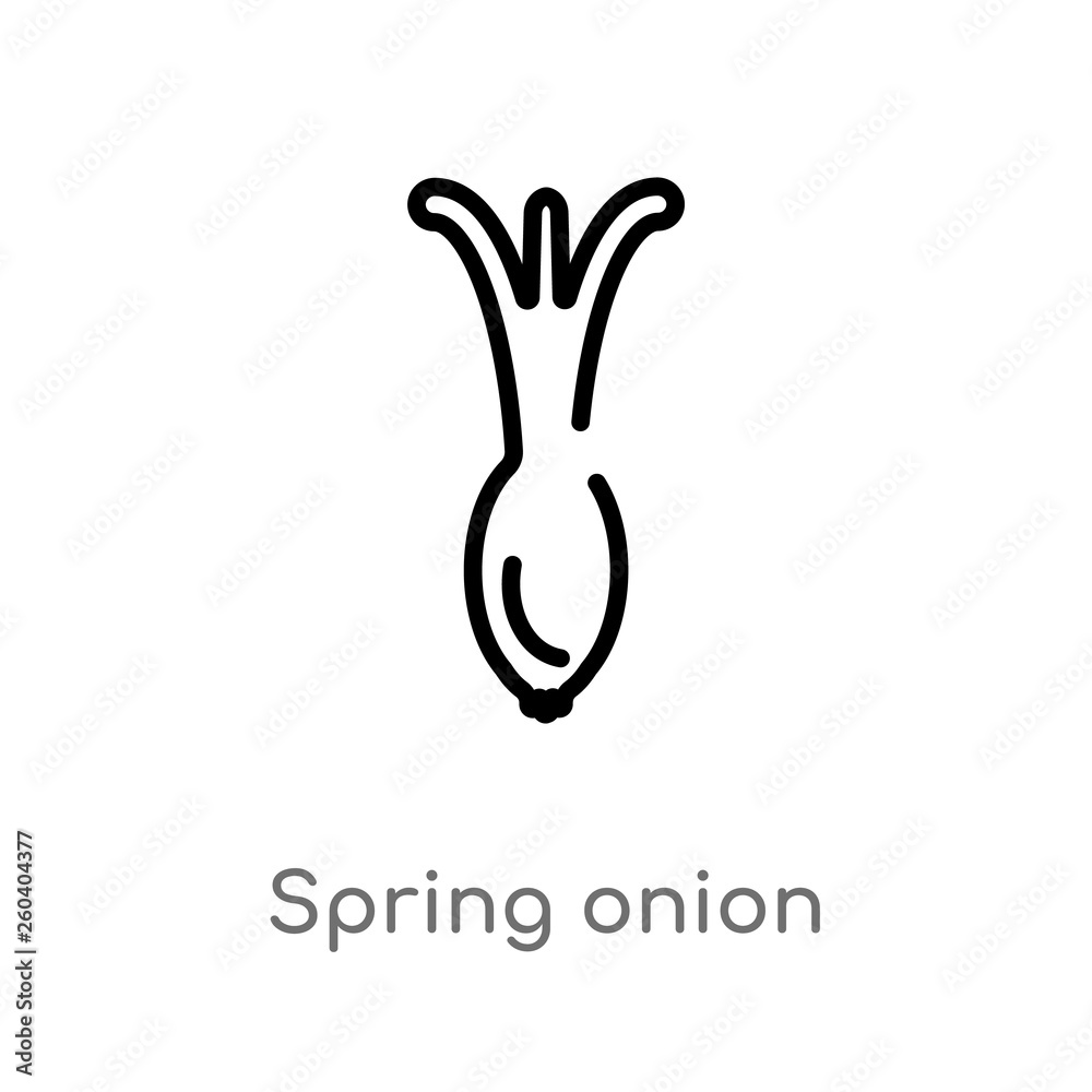 Obraz premium outline spring onion vector icon. isolated black simple line element illustration from fruits concept. editable vector stroke spring onion icon on white background