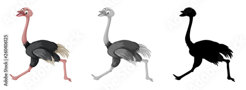 Set of ostrich character