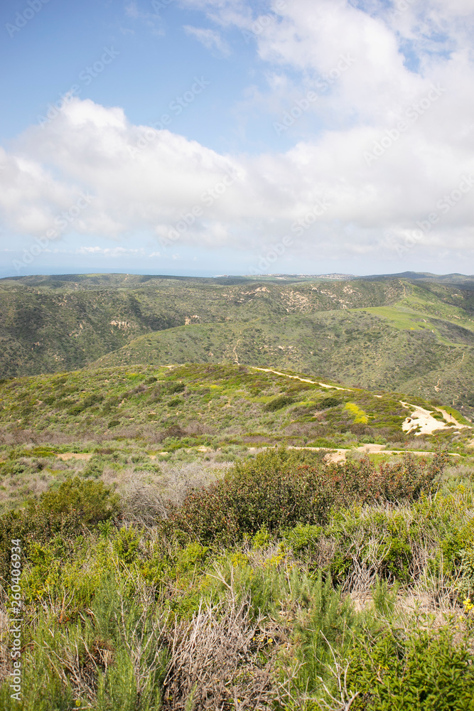 Aliso & Woods Canyon Wilderness trail in the spring after a rainy season, Laguna Beach, CA hiking trails.