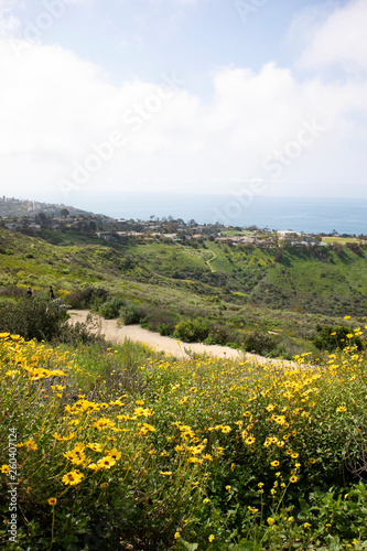 Aliso & Woods Canyon Wilderness trail in the spring after a rainy season, Laguna Beach, CA hiking trails.
