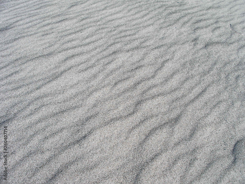 Obraz premium OLYMPUS DIGITAL CAMERA