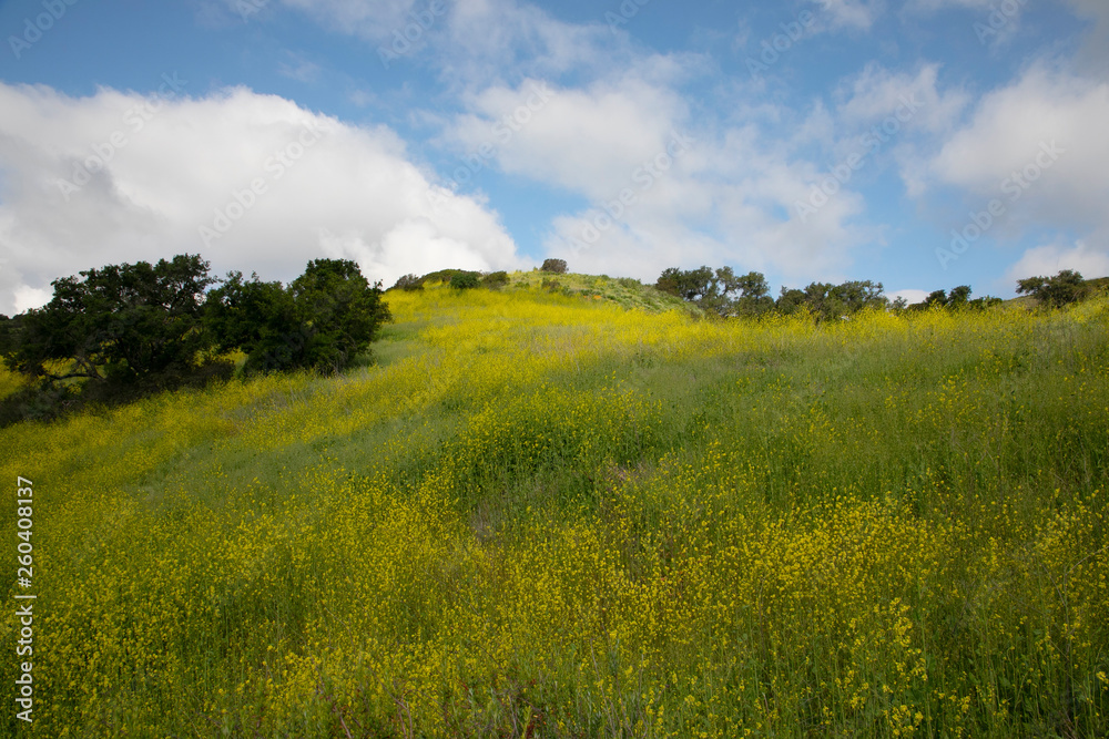 Hiking through the Limestone Canyon Regional Park after a rainy season