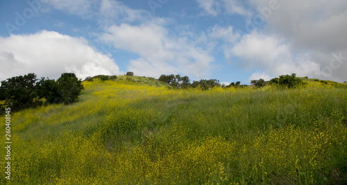 Hiking through the Limestone Canyon Regional Park after a rainy season