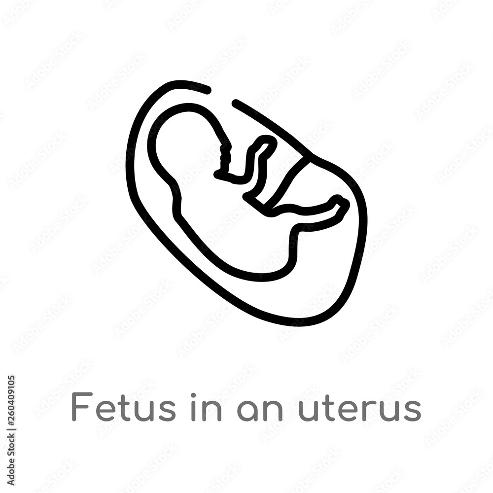 outline fetus in an uterus vector icon. isolated black simple line element illustration from human body parts concept. editable vector stroke fetus in an uterus icon on white background outline fetus in an uterus vector icon. isolated black simple line element illustration from human body parts concept. editable vector stroke fetus in an uterus icon on white background