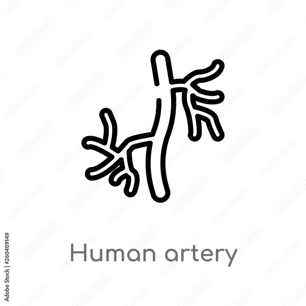 outline human artery vector icon. isolated black simple line element illustration from human body parts concept. editable vector stroke human artery icon on white background outline human artery vector icon. isolated black simple line element illustration from human body parts concept. editable vector stroke human artery icon on white background