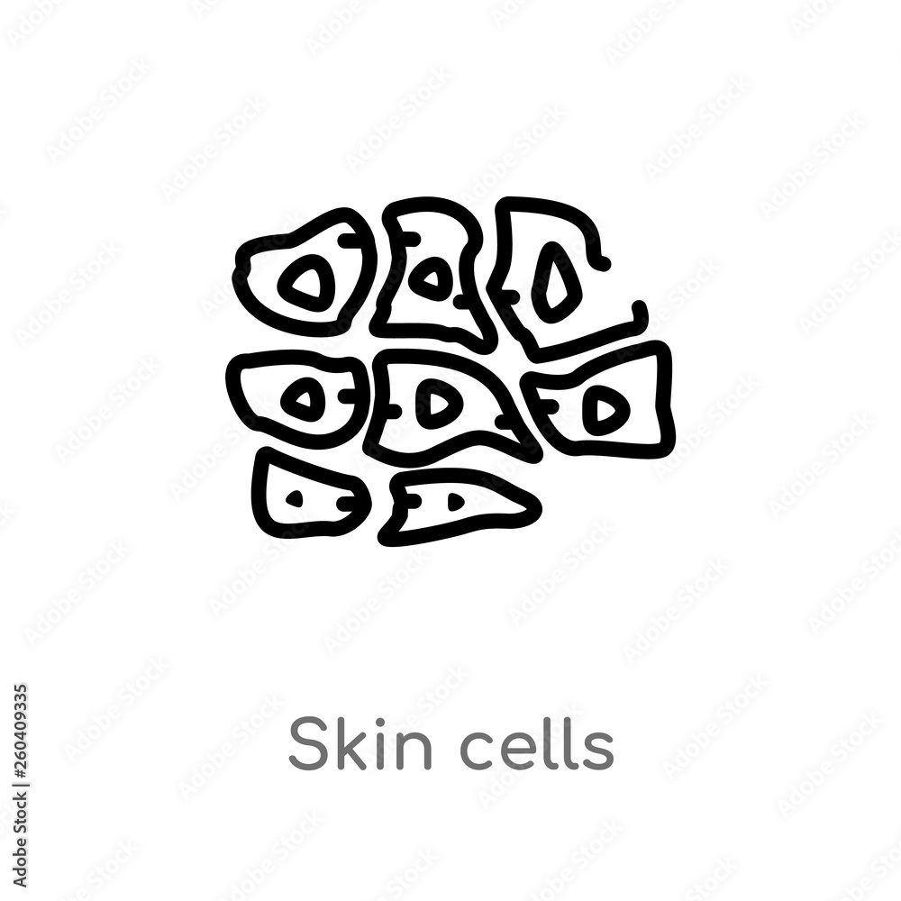 outline skin cells vector icon. isolated black simple line element illustration from human body parts concept. editable vector stroke skin cells icon on white background outline skin cells vector icon. isolated black simple line element illustration from human body parts concept. editable vector stroke skin cells icon on white background