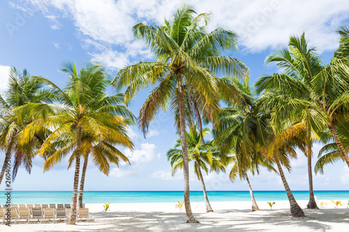 Beach scene with sunbeds under coconut palms