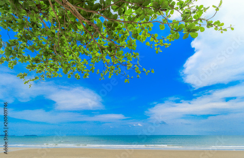 Fototapeta Naklejka Na Ścianę i Meble -  Beach and beautiful sky with tree on top. at Laem-Mae-Phim, Klaeng District, Rayong, Thailand.