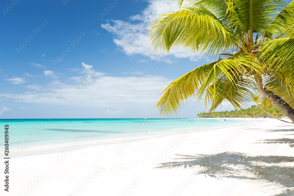 White sandy beach with sea and palms