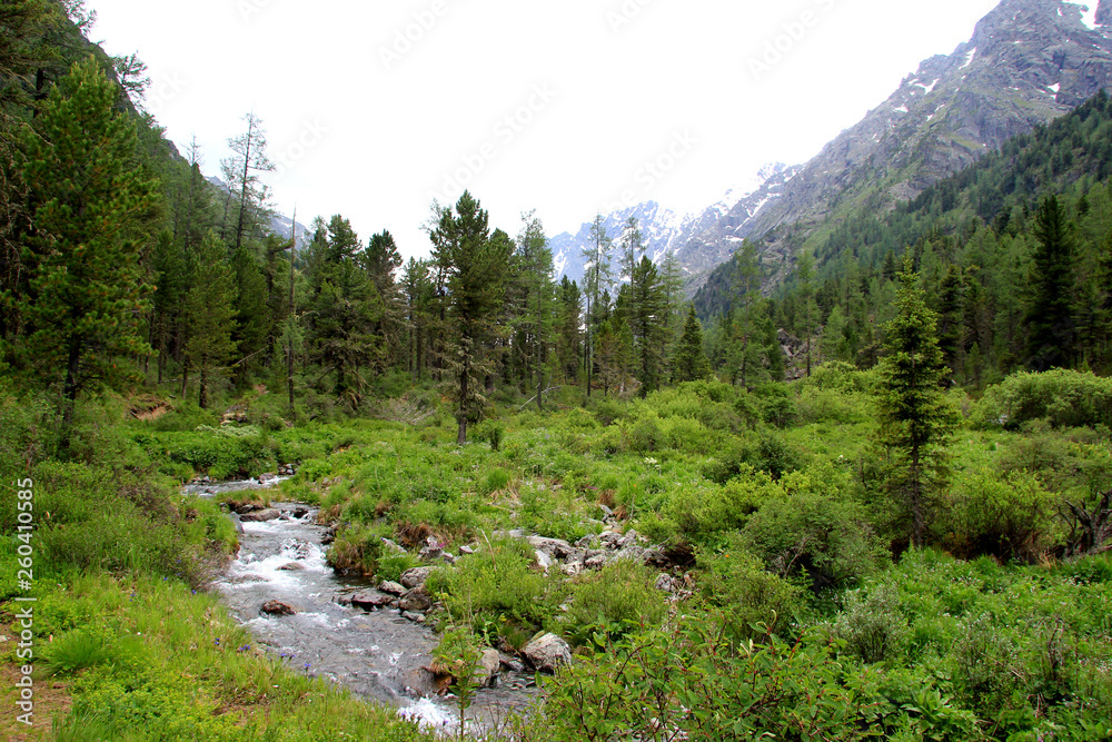 The beauty of the Altai Mountains in summer in good weather.