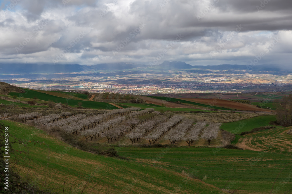 campos de cultivo en La Rioja, Spain	