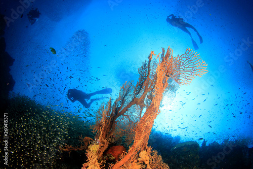 Fototapeta Naklejka Na Ścianę i Meble -  Scuba divers on coral reef 