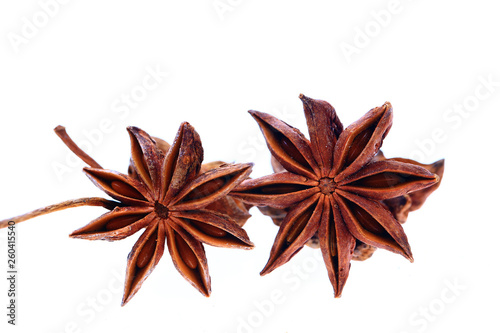 Anise isolation in the white background