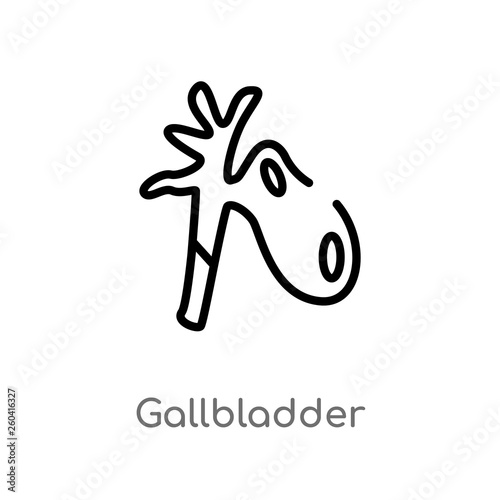 outline gallbladder vector icon. isolated black simple line element illustration from medical concept. editable vector stroke gallbladder icon on white background
