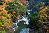 Kinugawa River