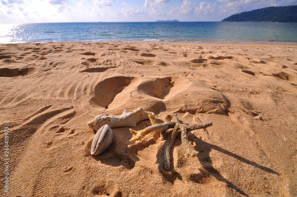 Obraz premium Summer travel holiday vacation concept isolated on oceanview background - Image