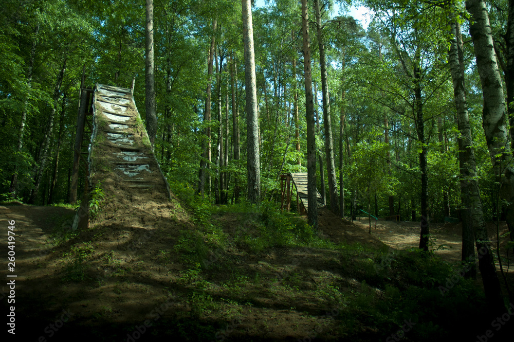 Obraz premium spring forest