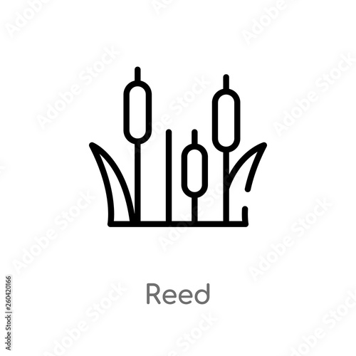outline reed vector icon. isolated black simple line element illustration from nature concept. editable vector stroke reed icon on white background