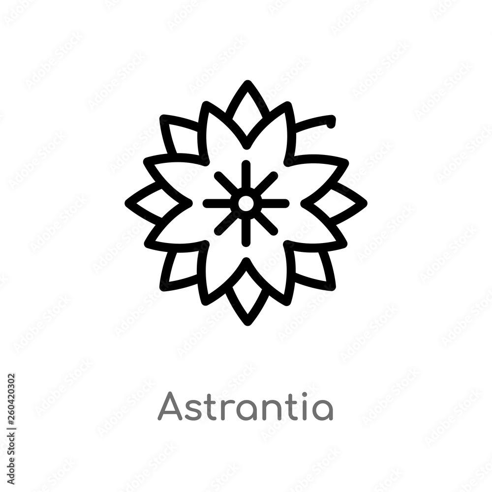 outline astrantia vector icon. isolated black simple line element illustration from nature concept. editable vector stroke astrantia icon on white background