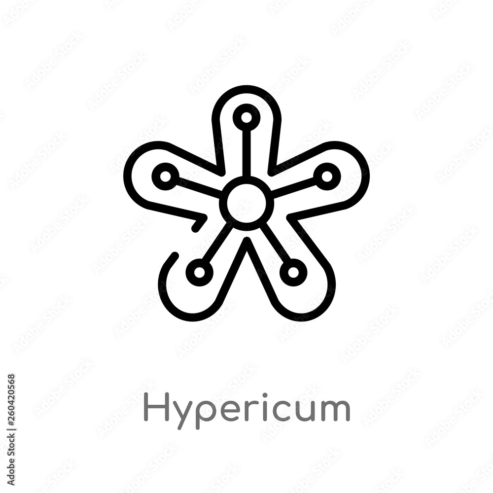 outline hypericum vector icon. isolated black simple line element illustration from nature concept. editable vector stroke hypericum icon on white background