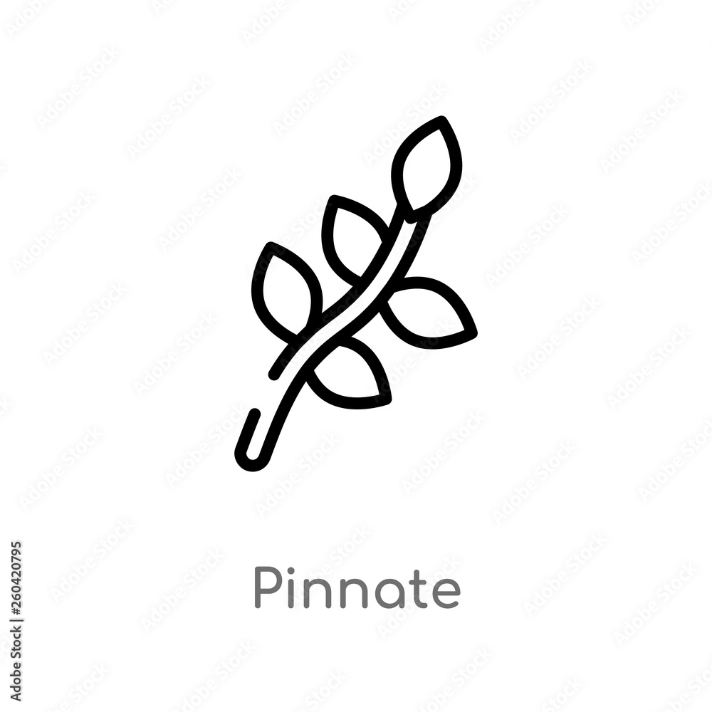 outline pinnate vector icon. isolated black simple line element illustration from nature concept. editable vector stroke pinnate icon on white background outline pinnate vector icon. isolated black simple line element illustration from nature concept. editable vector stroke pinnate icon on white background
