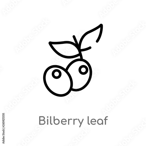 Fototapeta outline bilberry leaf vector icon