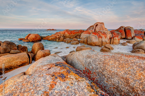Giant granite rock boulders covered in orange and red lichen at the Bay of Fires in Tasmania, Australia
