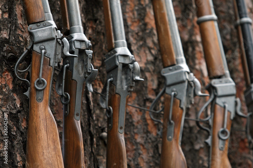 antique firearms weapons, rifles