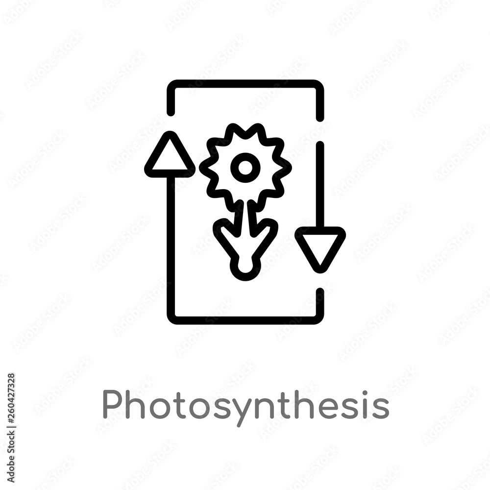 outline photosynthesis vector icon. isolated black simple line element illustration from education 2 concept. editable vector stroke photosynthesis icon on white background outline photosynthesis vector icon. isolated black simple line element illustration from education 2 concept. editable vector stroke photosynthesis icon on white background