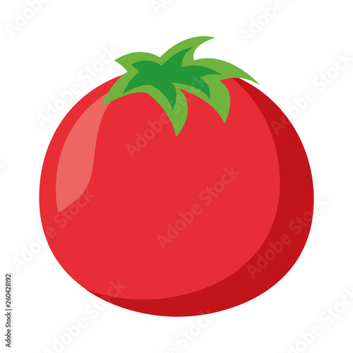 tomato vegetable fresh