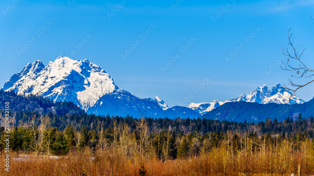 Mount Robie Reid on the left and  Mount Judge Howay on the right, viewed Sylvester Road over the Blueberry Fields near Mission, British Columbia, Canada under clear blue sky on a nice 