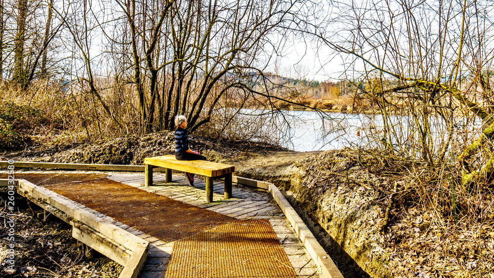 Senior Woman resting on a wooden bench hiking the trail from Poplar Bar to Two-bit Bar in Glen Valley Regional Park near Fort Langley, British Columbia, Canada on a nice winter day Senior Woman resting on a wooden bench hiking the trail from Poplar Bar to Two-bit Bar in Glen Valley Regional Park near Fort Langley, British Columbia, Canada on a nice winter day