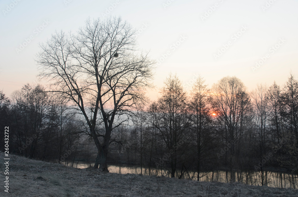 Fantastic foggy river with fresh green grass in the sunlight. Sun beams through tree. Dramatic colorful scenery. Ukraine, Europe. Beauty world. Fantastic foggy river with fresh green grass in the sunlight. Sun beams through tree. Dramatic colorful scenery. Ukraine, Europe. Beauty world.