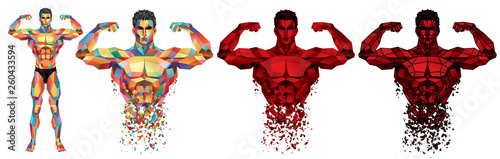 Male Bodybuilder Full Body_Colorful Polygonal Graphic_EPS 10 Vector