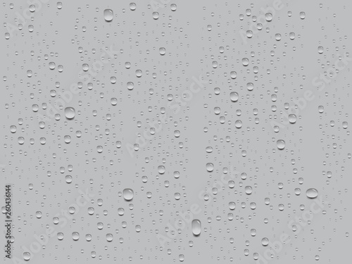 realistic transparent water drops on gray background