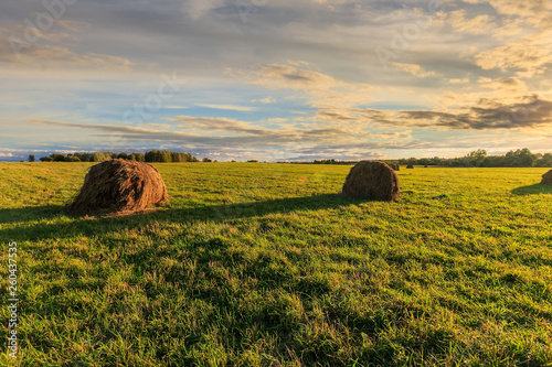 Field with haystacks at sunset.