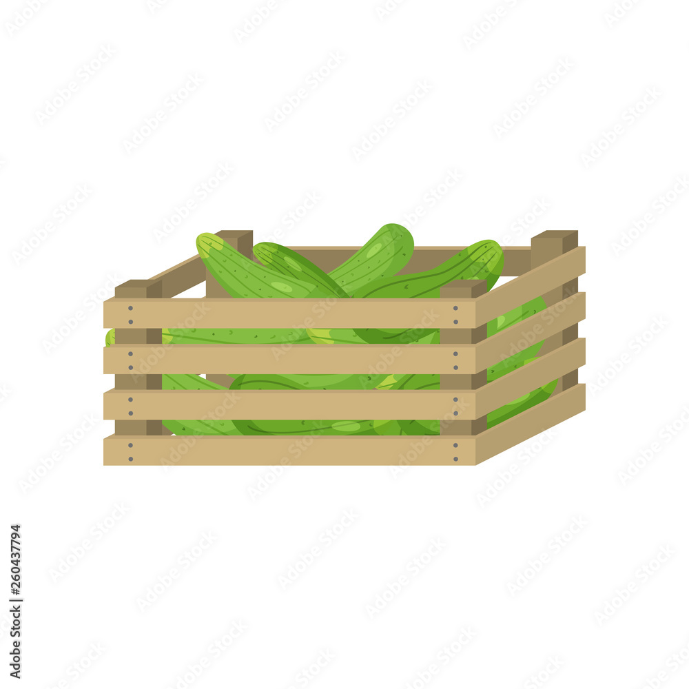 Fresh, green cucumber in wooden box for home storage