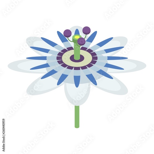 Maracuja flower icon. Isometric of maracuja flower vector icon for web design isolated on white background
