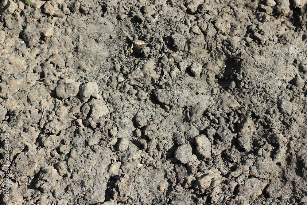 Texture of dry cracked earth soil Texture of dry cracked earth soil