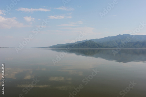 Lake of Kerkini Serres Greece Europe