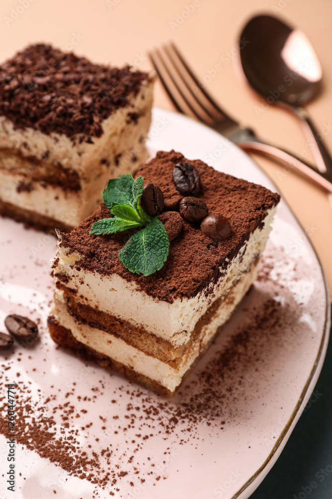 Plate with tasty tiramisu on color background, closeup Plate with tasty tiramisu on color background, closeup