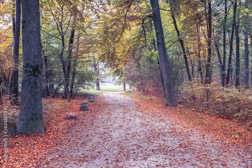 Fototapeta premium An Old Park at fall